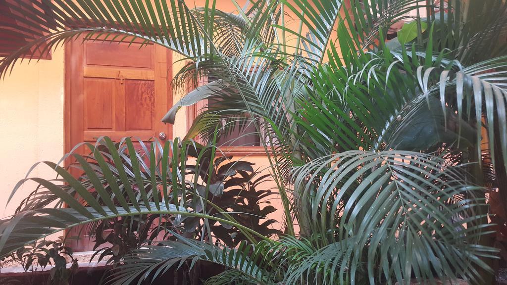 Hotel El Maltese Granada Eksteriør billede